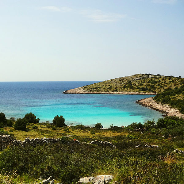 Trip Island Žut